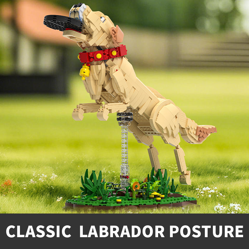 Labrador Retriever , "Tu mejor compañero"