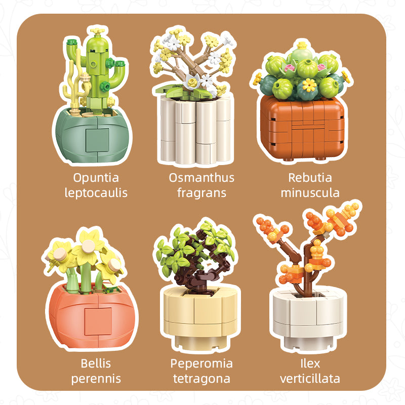 Kit de Jardín Bonsai Ensamblable Jiestar