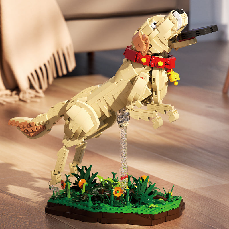 Labrador Retriever , "Tu mejor compañero"